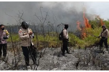 Kebakaran Way Kambas: 2 Hektare Padam, Api di Resort Cabang Masih Ditangani