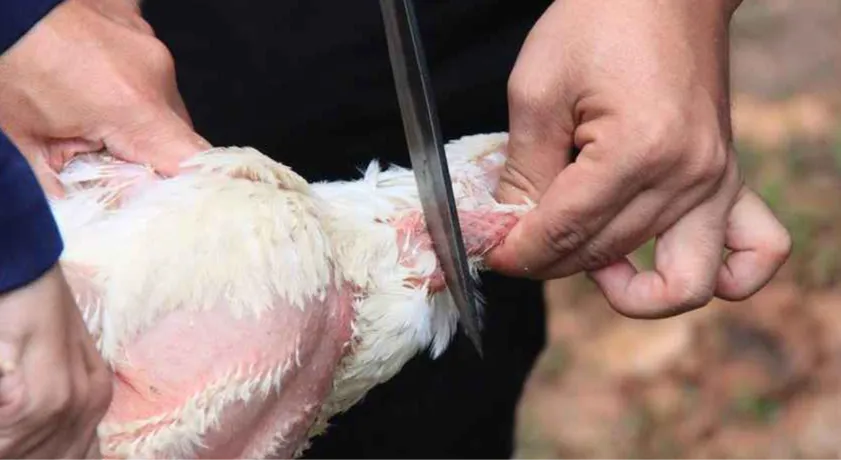 Disdagin Depok Latih Pedagang Pasar Cisalak Jadi Juru Sembelih Halal