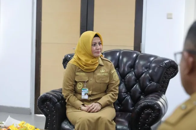 Hellyana Diberhentikan Sementara dari Jabatan Wakil Gubernur Babel