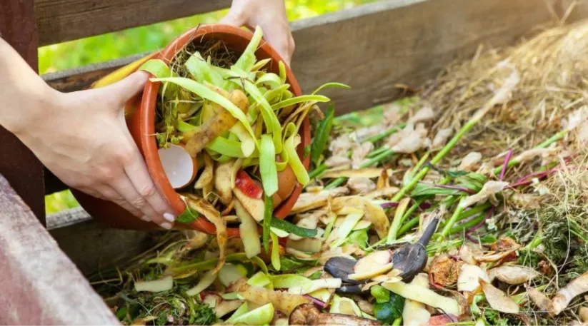 Depok Terpilih Jadi Pilot Project Sampah Organik Kementerian LH