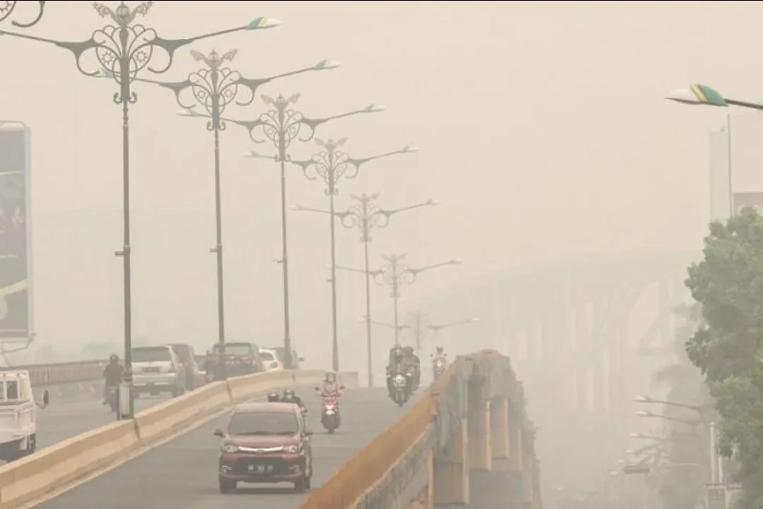 Kabut Asap Kepung Sumatra dan Kalimantan, Sejauh Mana Penanganan Karhutla?