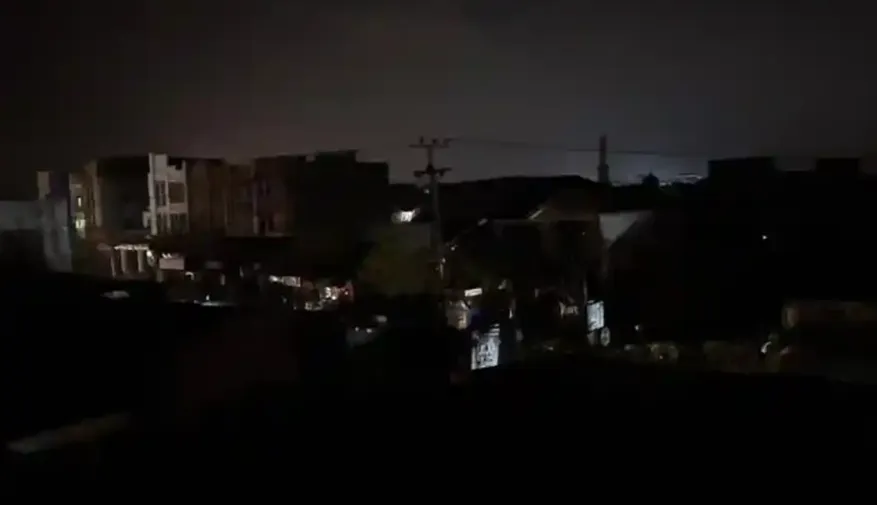 Gara-gara Hewan Liar, Batam Nyaris Lumpuh Sehari Penuh