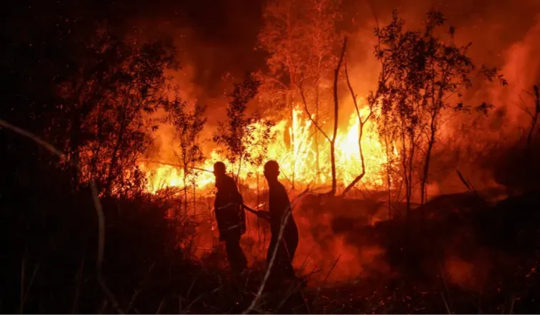 Update Karhutla: 4 Petugas Tewas, 283 Ribu Warga Sakit, PDI-P Serukan Moratorium Hutan