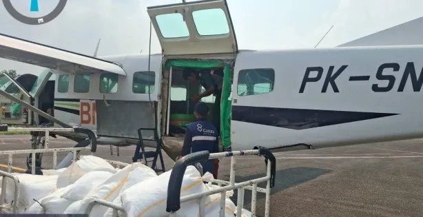 BNPB Kaji Teknologi Dry Ice untuk Atasi Karhutla, Uji Coba di Sumsel Dievaluasi