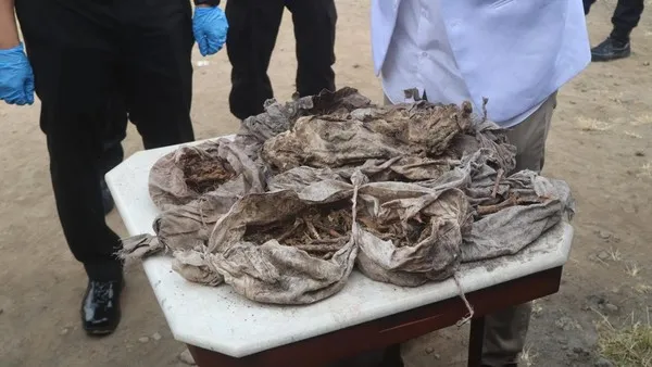 Misteri Bungkusan Mirip Pocong di Magelang Terungkap, Hasil Forensik Pastikan Bukan Tulang Manusia