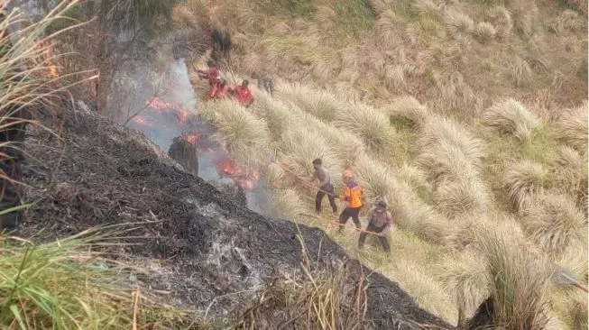Tragedi Karhutla Bromo Berakhir Duka, Enam Petugas dan Relawan Gugur
