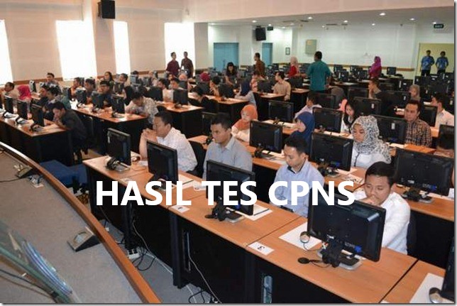 15 Instansi Umumkan Hasil Akhir CPNS 2017