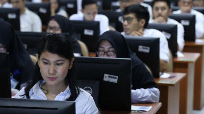 Pendaftaran CPNS 2023 Dimulai 3 Bulan Lagi, Simak 11 Jurusan S1 yang Dibutuhkan di Instansi Pusat dan Daerah