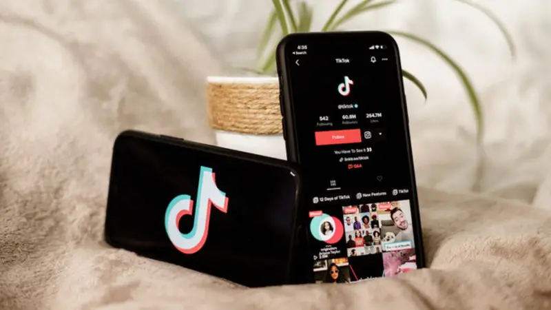 Mengenal Game Roleplay Viral di TikTok