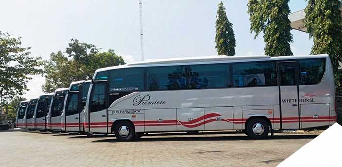 White Horse Perkenalkan 5 Unit Medium Bus Terbaru dengan Bando Anyar