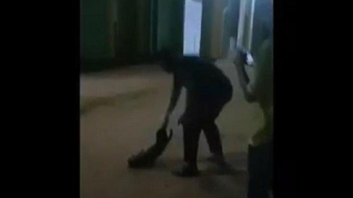 Video Viral Aksi Kejam Gerombolan Pemuda Banting Anjing Hingga Tewas