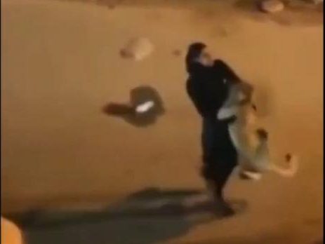 Video Viral: Aksi Emak-emak Pindahkan dan  Menggendong Singa dengan Santai