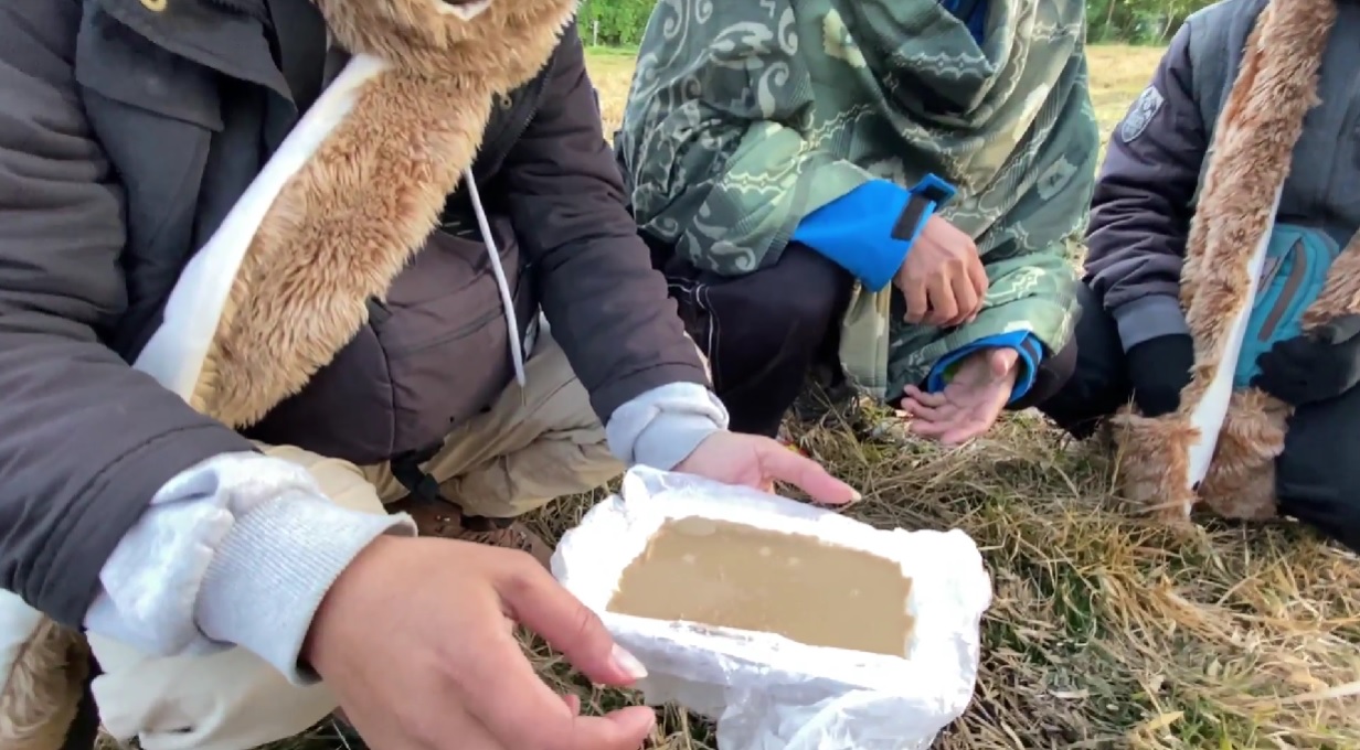 Suhu Dingin Dieng Membekukan Kopi Susu Panas Menjadi Es Krim