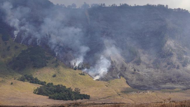 Sudah Masuk Hari Kelima Gunung Bromo Belum Padam