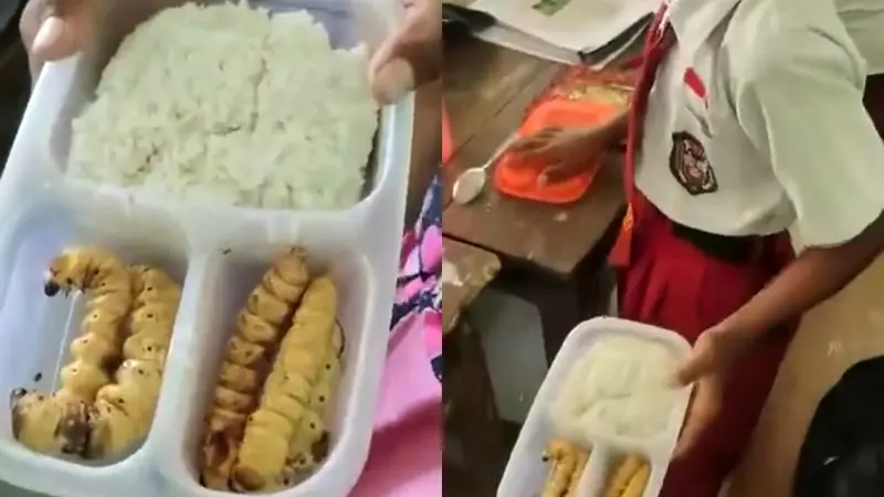 Viral Anak SD Bawa Bekal Makan Lauk Ulat Sagu Goreng, Begini Respon Guru