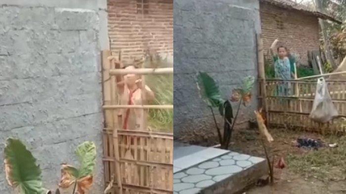 Viral Cerita Warganet yang Rumahnya Setiap Hari Dilempari Batu dan Tinja selama 2 Tahun oleh Tetangga