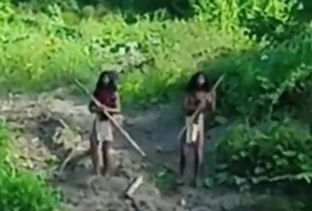 Viral Suku Pedalaman di Halmahera Halangi Buldoser Penambang Nikel