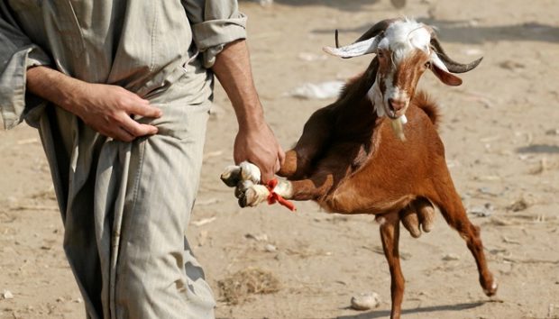Polresta Serang Beri Penjelasan Terkait Kasus Pria Bunuh Pencuri Kambing Jadi Tersangka