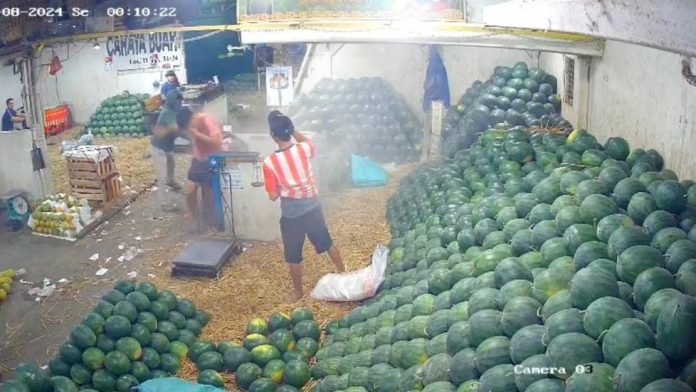 Viral Pedagang Semangka di Pasar Induk Kramat Jati Disiram Air Keras dan Dibacok