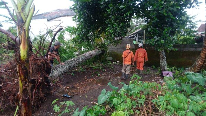 Puluhan Rumah Rusak Akibat Hujan Disertai Angin Kencang di Sleman