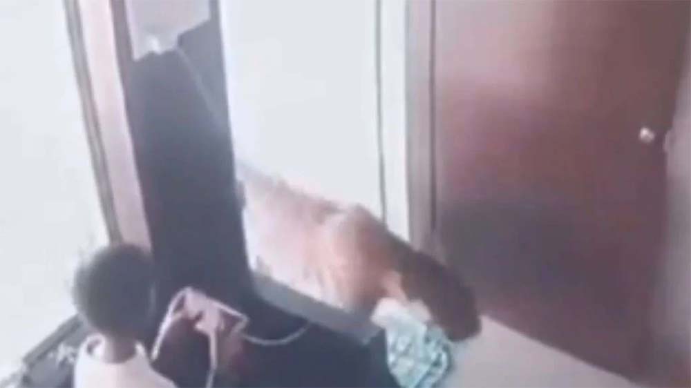 Video Viral Seorang Bocah Kecil Lagi Asyik Main Ponsel Tiba-tiba Macan Tutul Lewat di Depannya