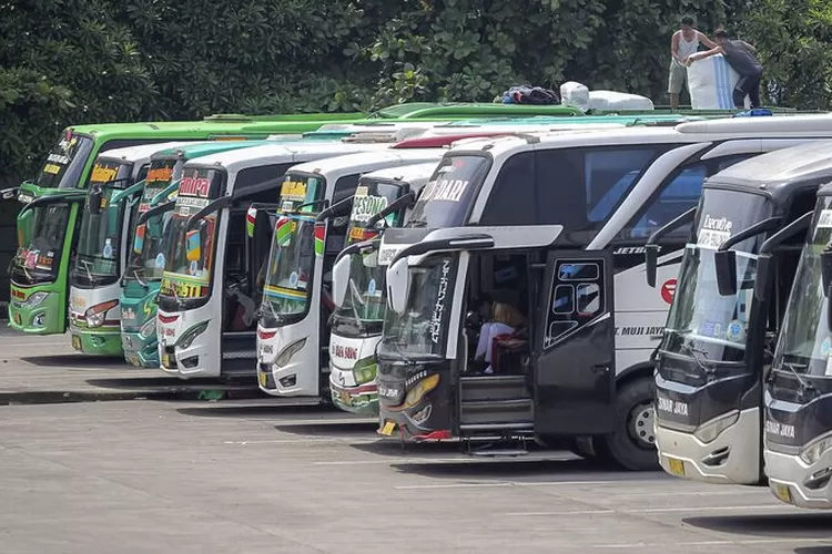 Cara Daftar Mudik Gratis Lebaran Kemenhub 2024