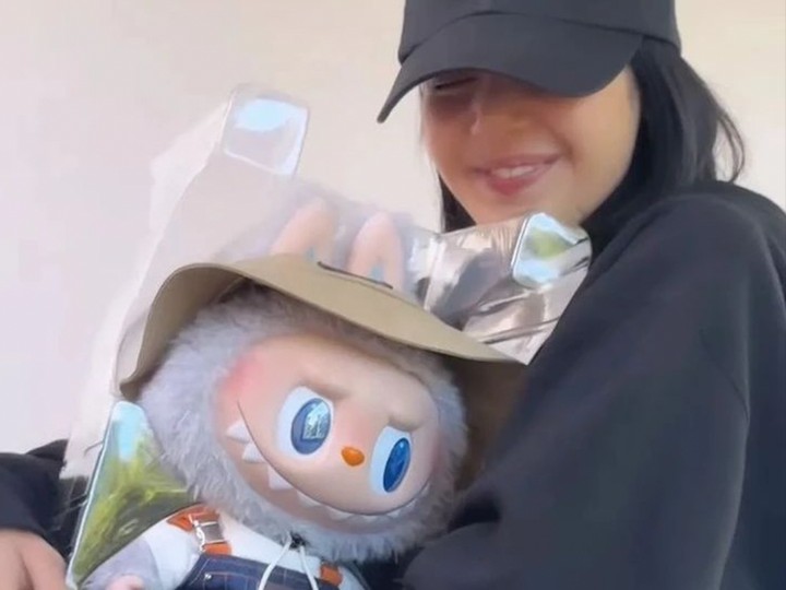 VIRAL Boneka Labubu Kesayang Lisa BLACKPINK