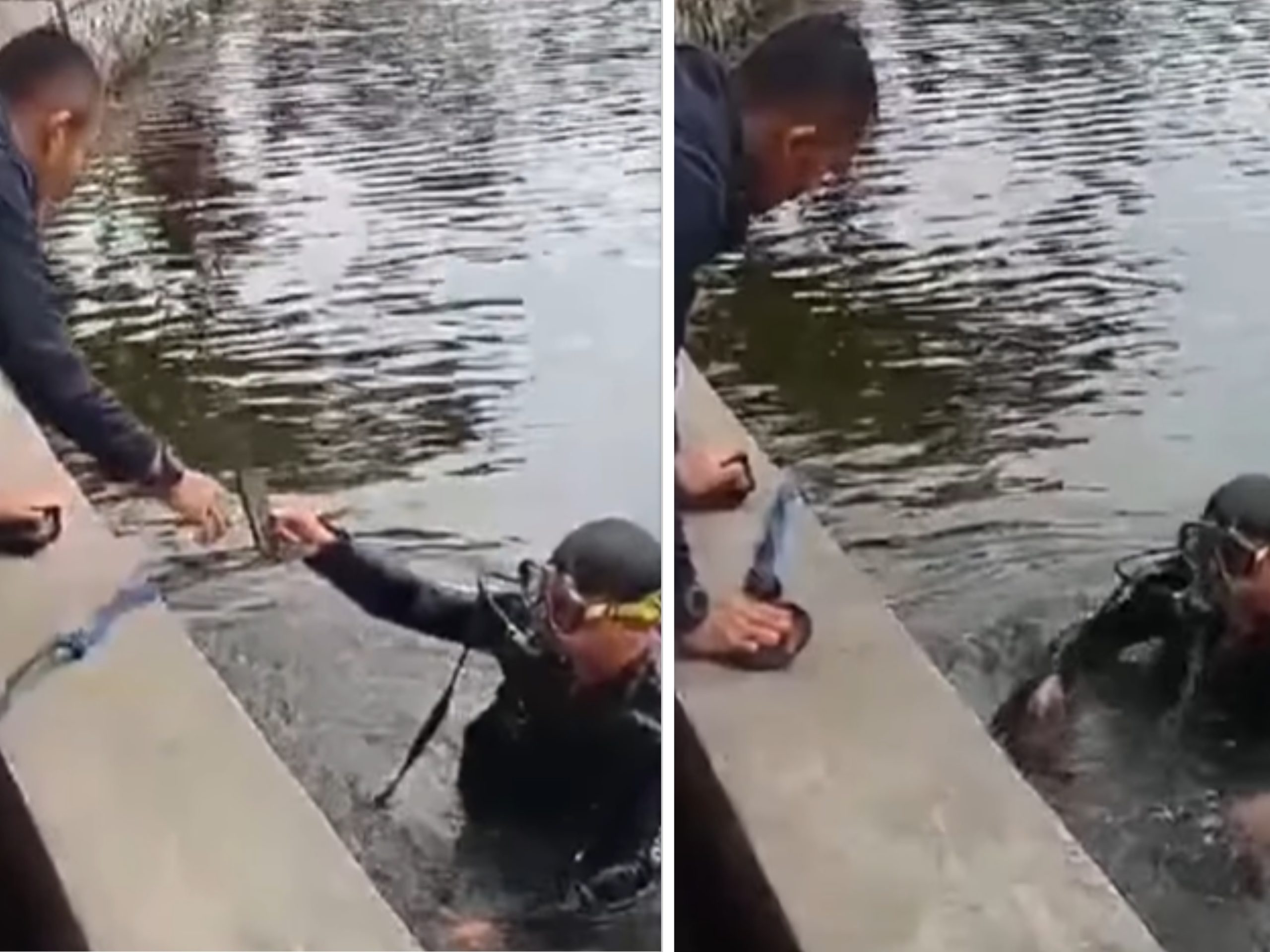 Viral Video Damkar Depok Berhasil Temukan Handphone Warga yang Tercebur di Situ Cilodong