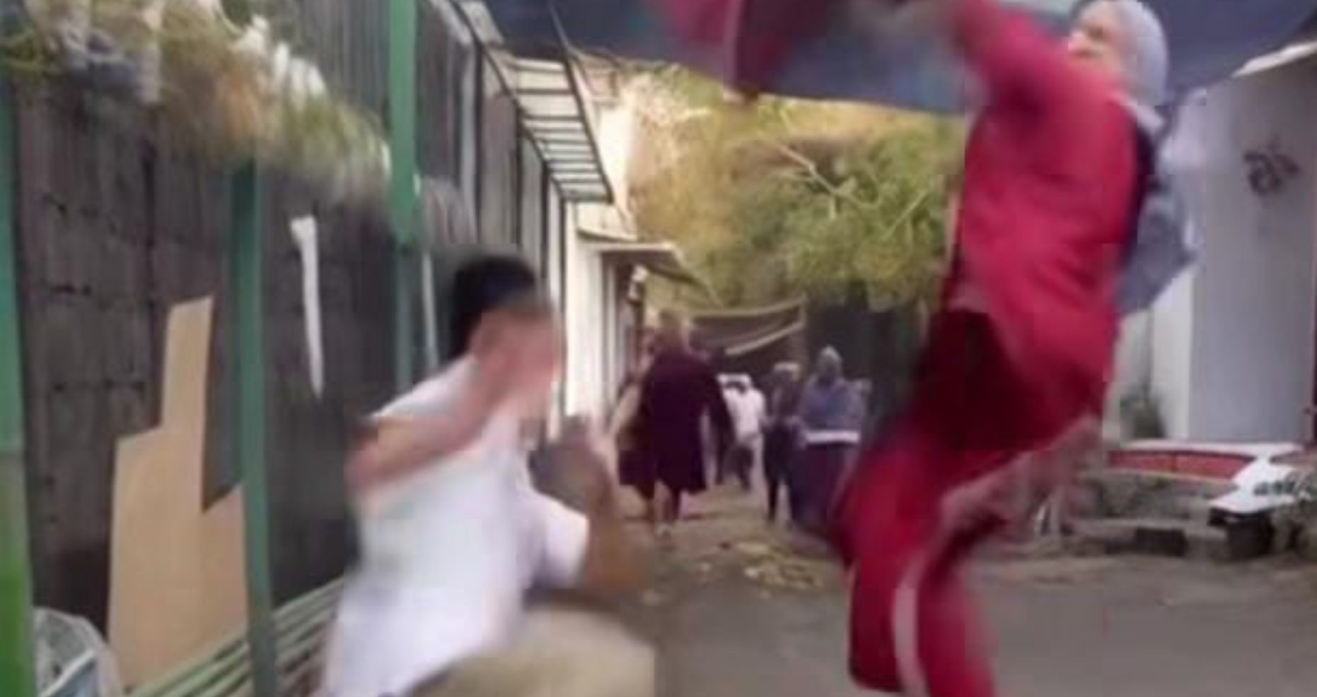 Cara Buat Video Kungfu dengan Hailuo AI