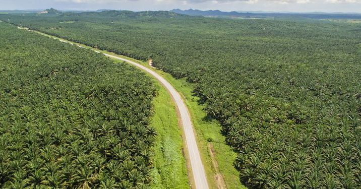 Cara Buat Akta Hibah Tanah, Catat Syaratnya!