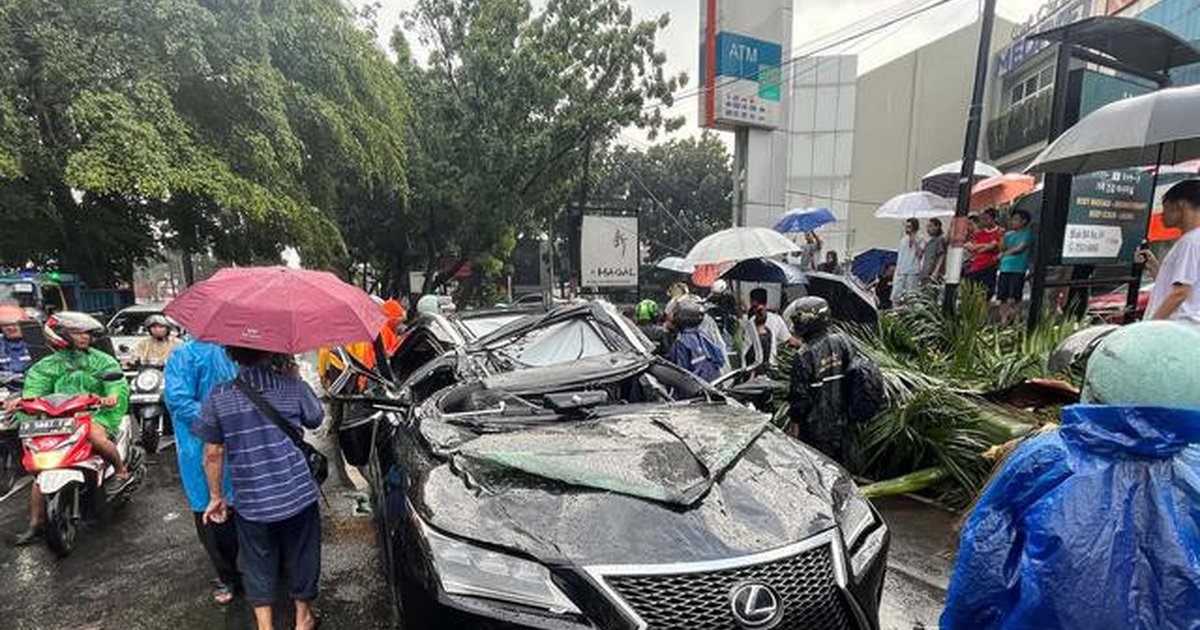 Viral Mobil Lexus Tertimpa Pohon Tumbang di Pondok Indah