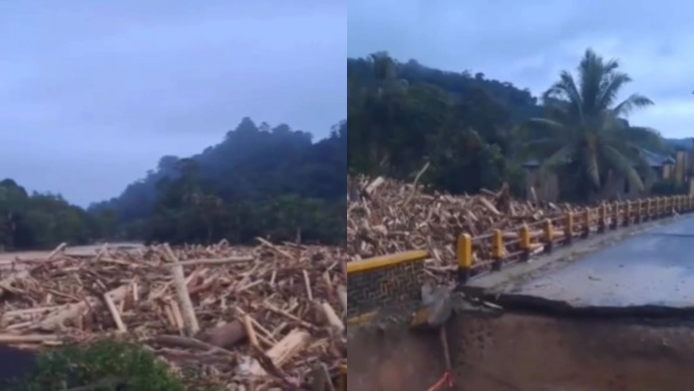 Viral Kayu Gelondongan Arus Banjir di Sumut