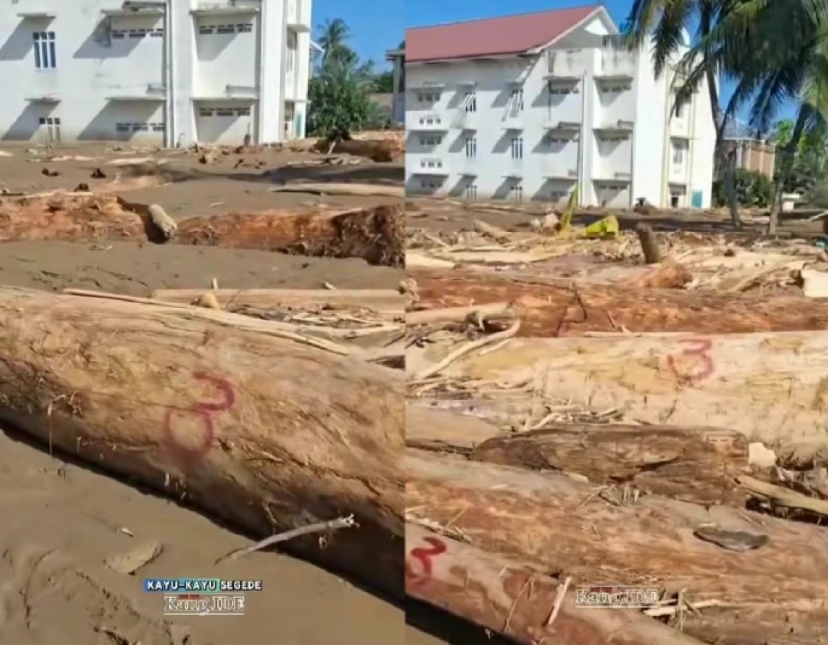 Viral! Relawan Temukan Kayu Gelondongan Ada Nomornya di Lokasi Bencana