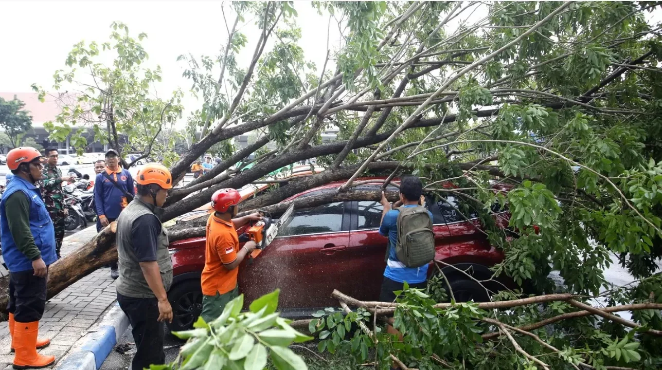 Angin Puting Beliung Terjang Bandara Juanda Bikin Pohon Tumbang