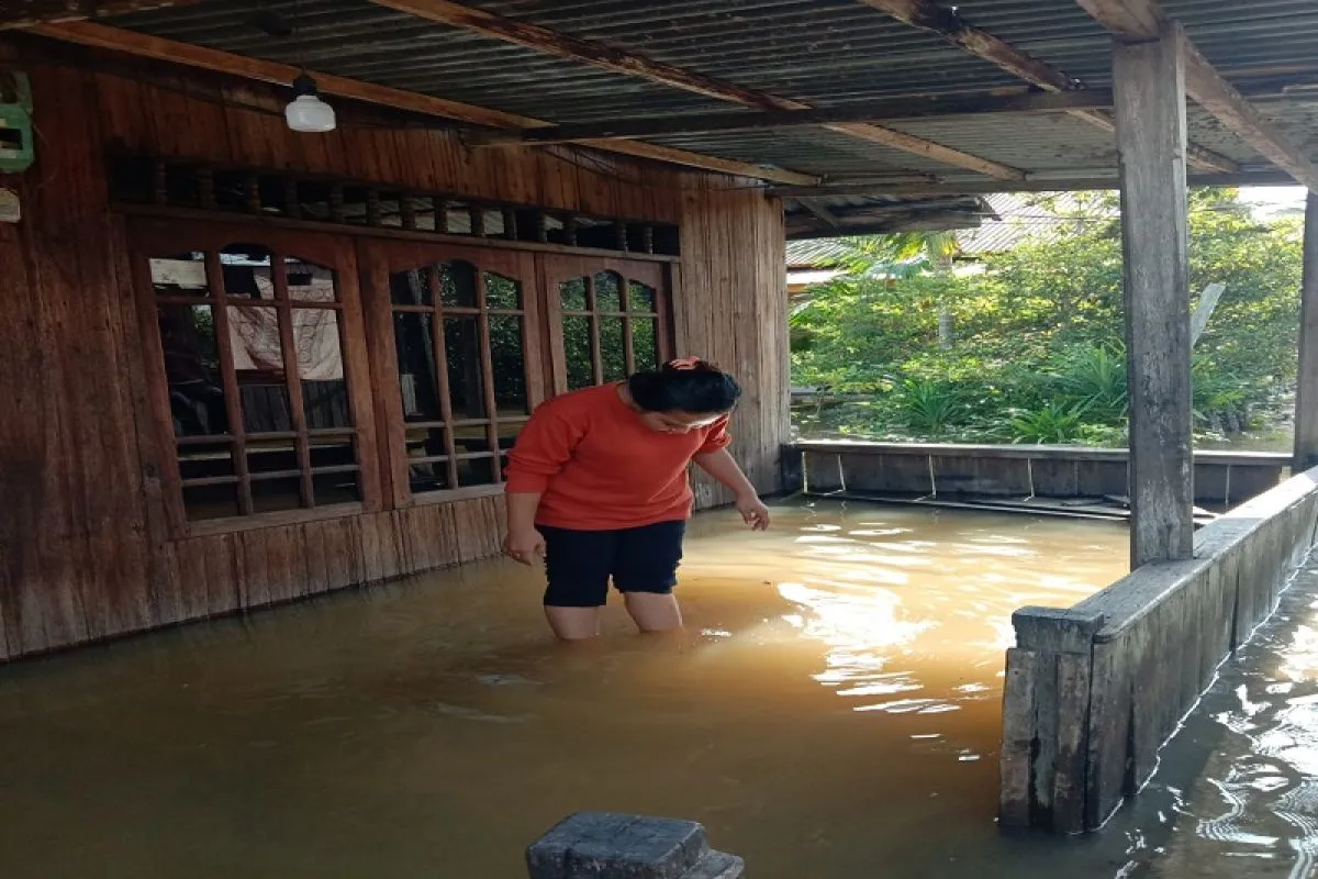 Banjir Rob Rendam Rumah Warga di Tanjabtim Jambi