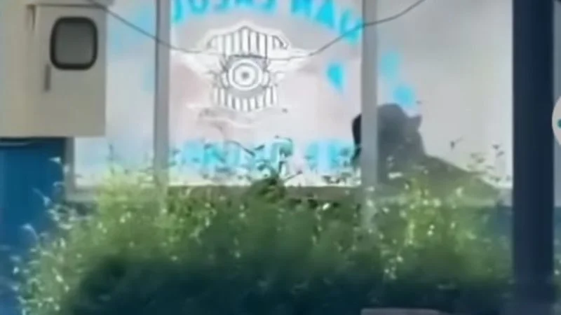 Viral Video Sejoli Mesum di Pos Polisi Simpang 4 Kemuning Tulungagung