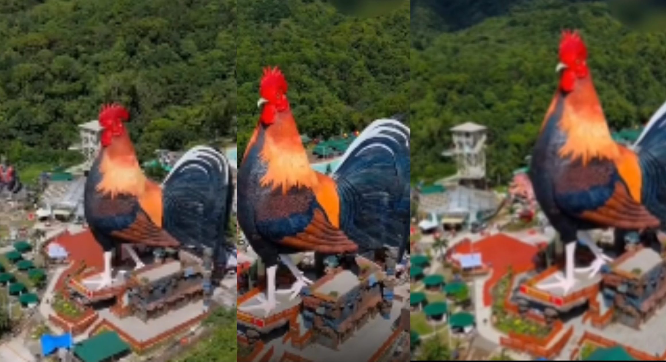 Unik! Hotel Berbentuk Ayam Jantan Viral di Filipina