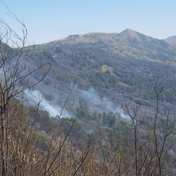 Karhutla Bromo Meluas ke Jemplang, Wisata Ditutup