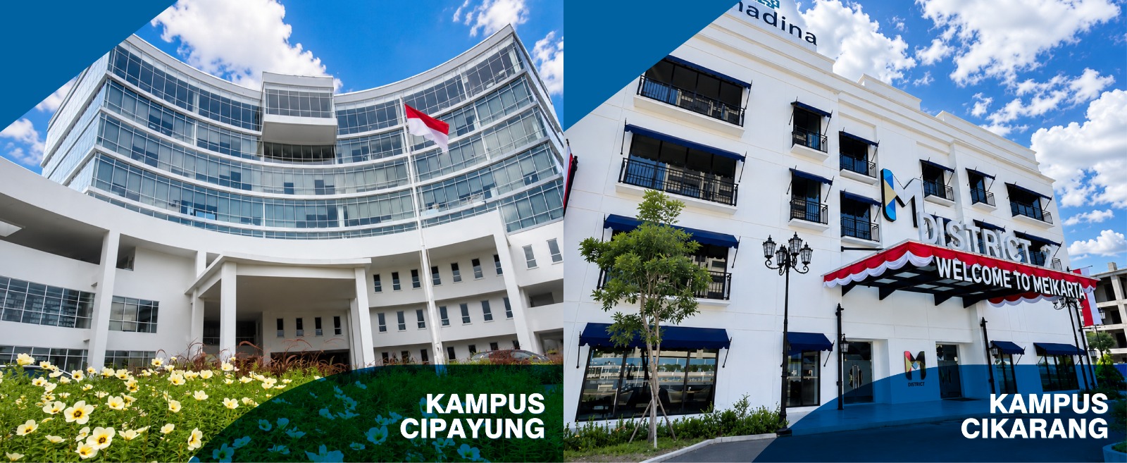 Pilihan Kampus