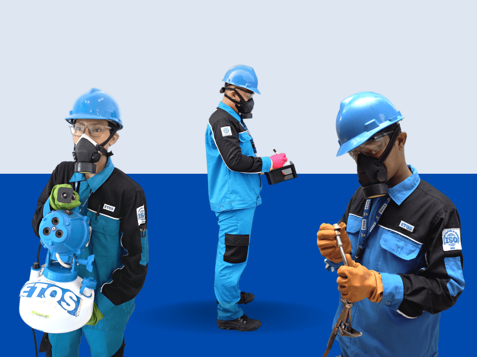 10 Perusahaan Jasa Anti Rayap dan Pest Control Terbaik dan Termurah
