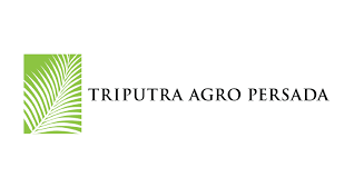 Lowongan Kerja Management Trainee di PT Triputra Agro Persada Tbk