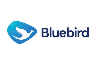 Lowongan Kerja Pengemudi Taksi Di BLUEBIRD Cijantung