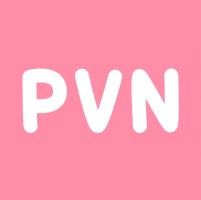 Lowongan Kerja Office Manager di PVN - Jakarta Pusat
