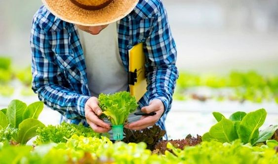 Biaya Kuliah S1 Agribisnis Kelas Karyawan di Medan