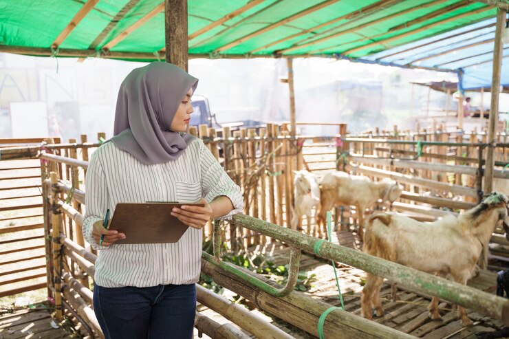 Kuliah S1 Peternakan di Medan Kampus Terakreditasi Unggul